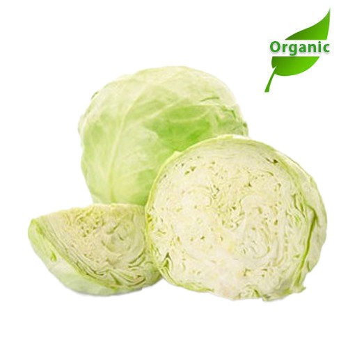 Organic Cabbage Green