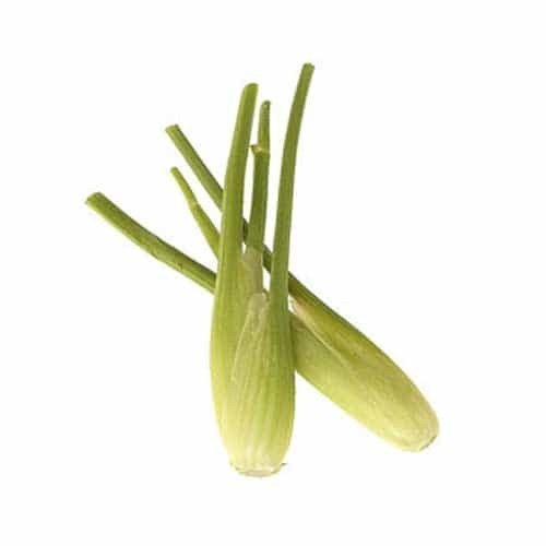 Baby Fennel