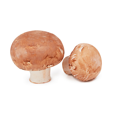 Brown Mushroom