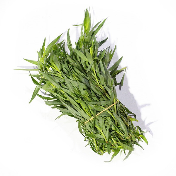 Tarragon