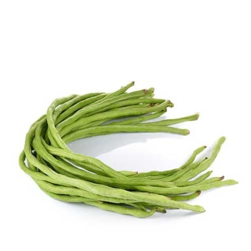 Beans Long