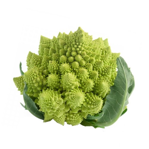 Romenesco Broccoli