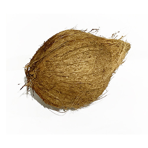 Coconut Dry