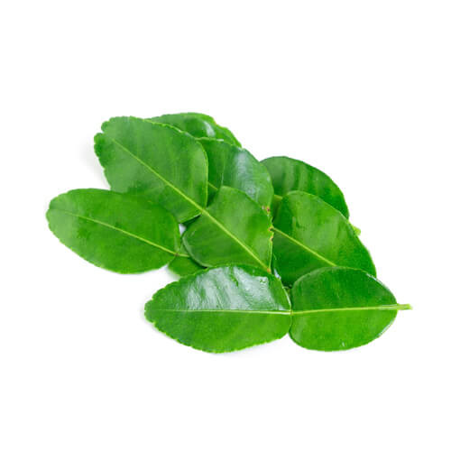Lime Leaves