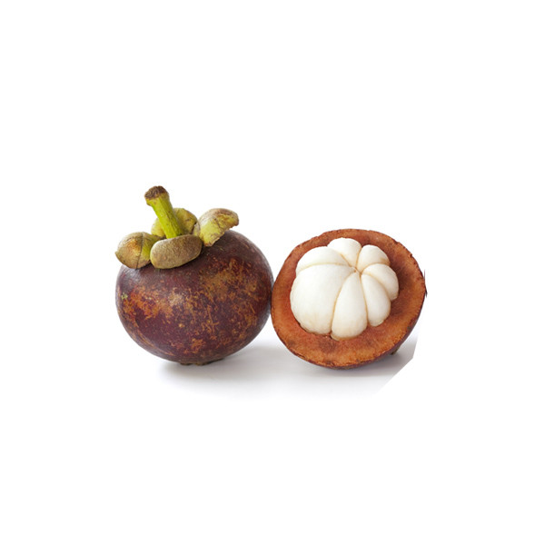 Mangosteen