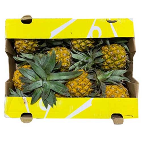 Baby Pineapples