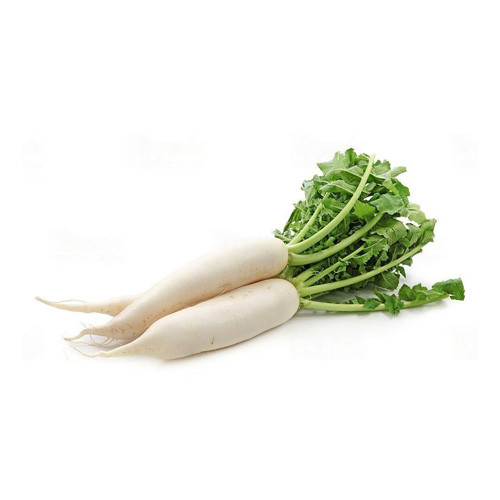 White Radish