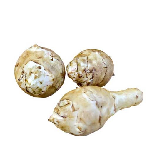 Artichokes Jarusalem