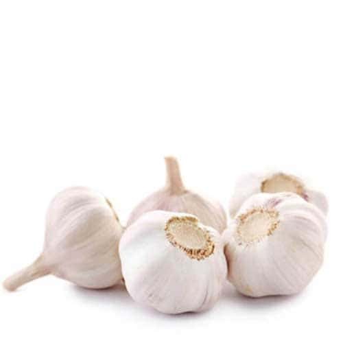 Garlic Pure White