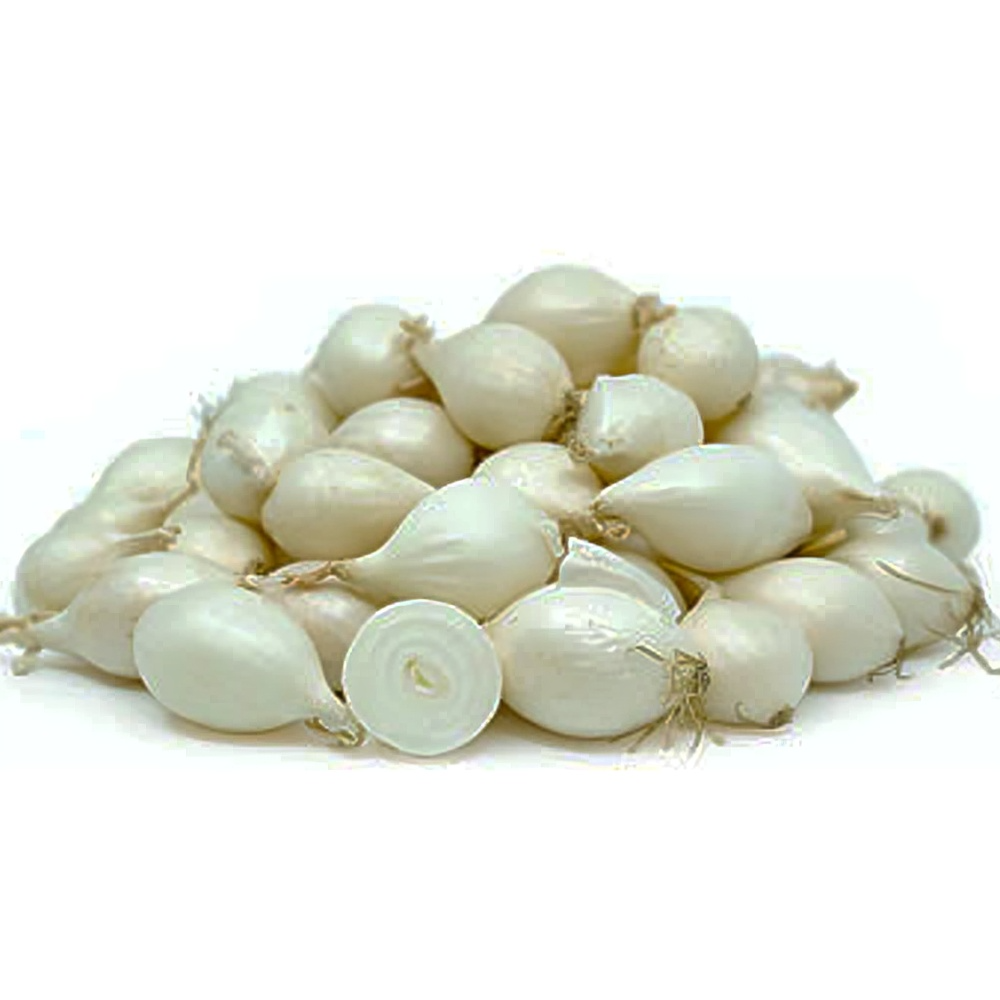 Onion Baby Pearl (shallot)