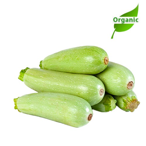 Organic Marrow