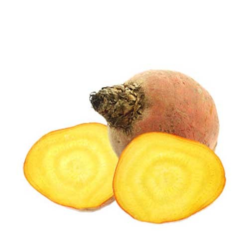 Yellow Beetroot