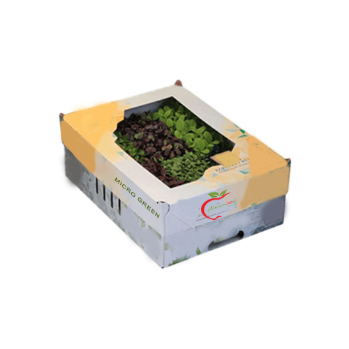 Sakura Microgreen Mix