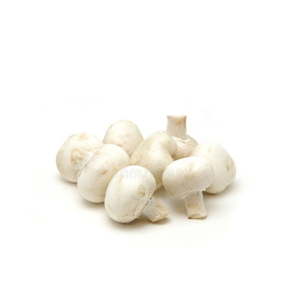 Mushroom Button White