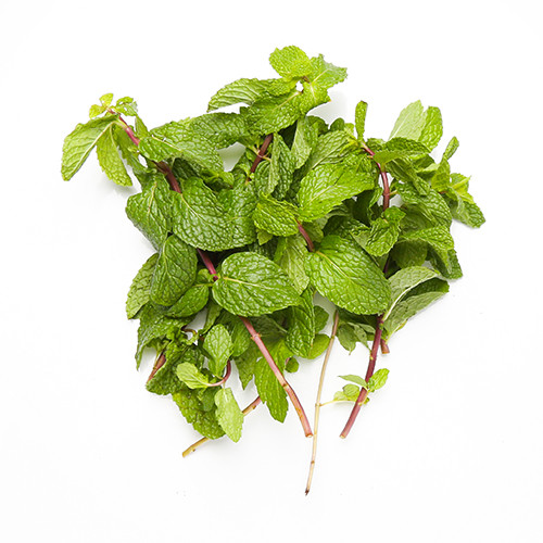 Mint Leaves