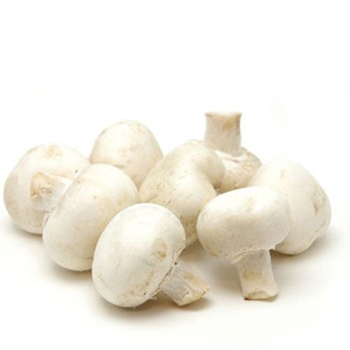 Mushroom Button White