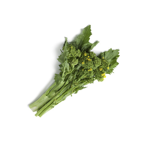 Broccolini