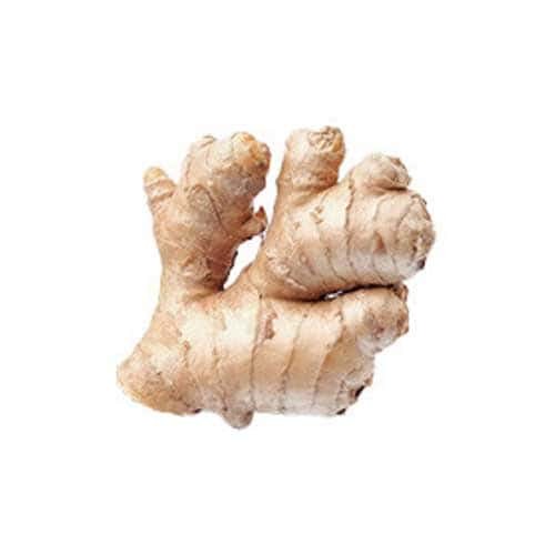 Ginger India