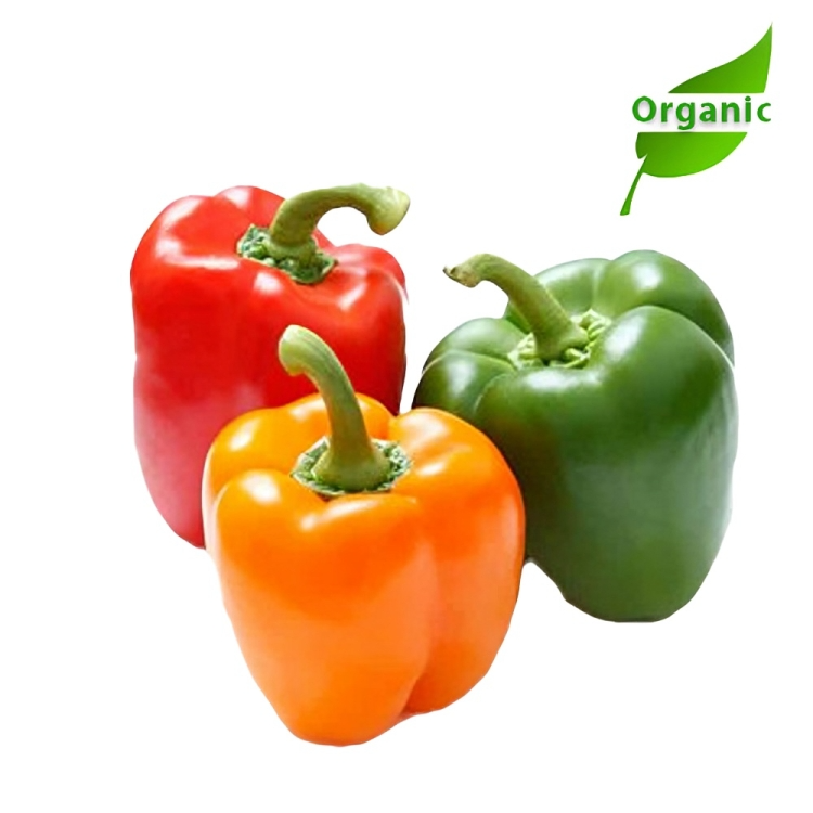 Organic Capsicum Mixed