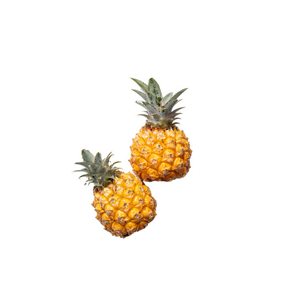 Baby Pineapple