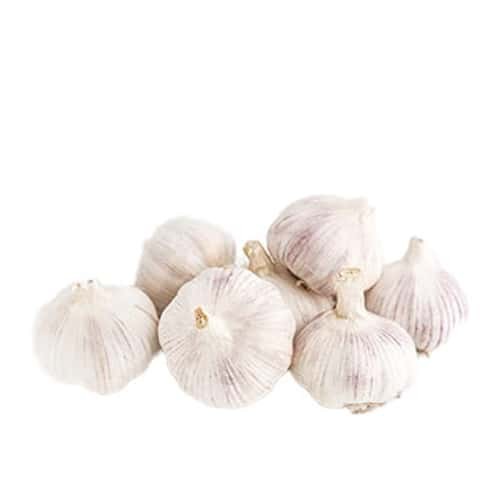 Garlic India