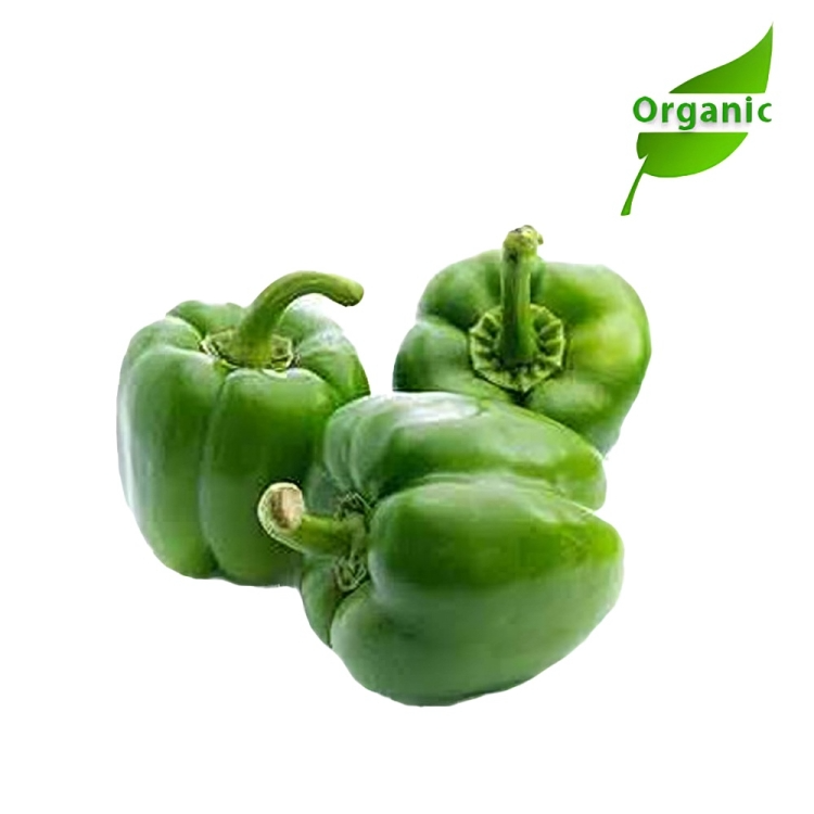 Organic Capsicum Green
