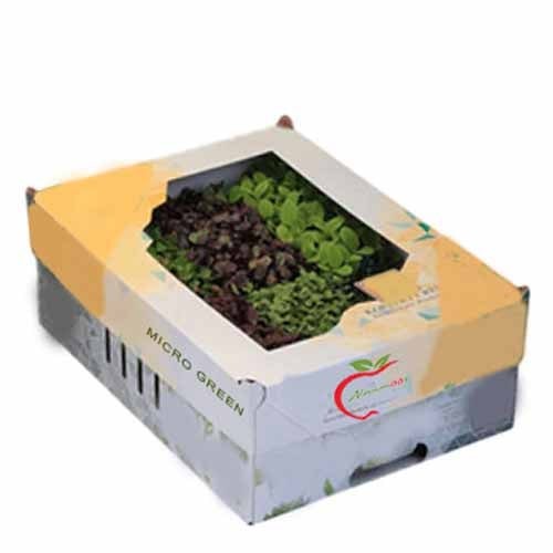 Assortment Microgreen Mix