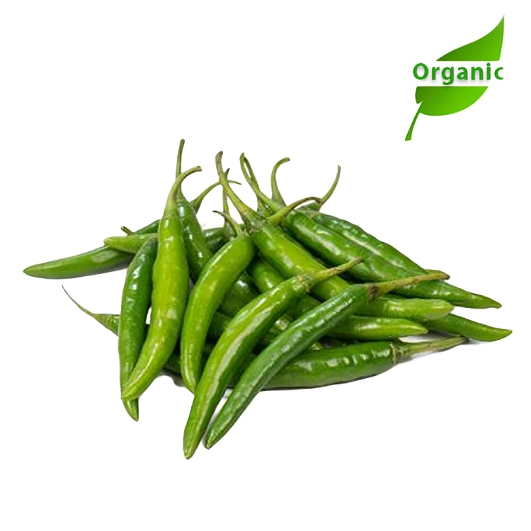 Organic Green Chilli