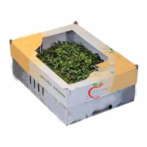 Tahoon Microgreen
