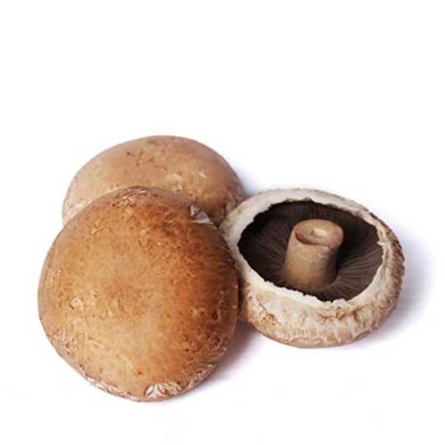 Mushroom Portobello