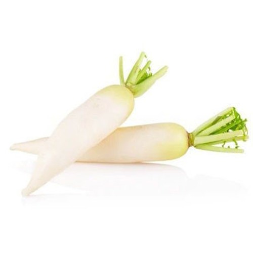 White Radish china (Daikon)