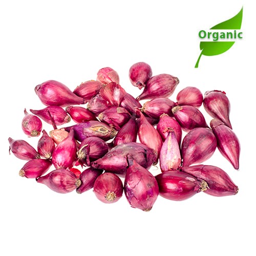 Organic Shallot India