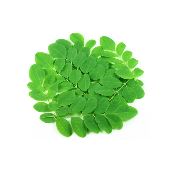 Moringa (Drumstick) Leaves