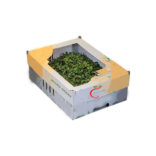 Buy Tahoon Microgreen fresh vegetables online dubai