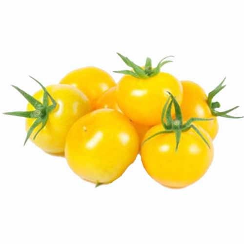 Tomato Cherry Yellow