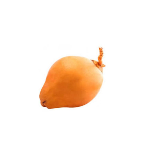 Fresh Young Coconut Srilanka