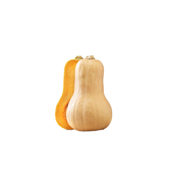 Pumpkin Butternut