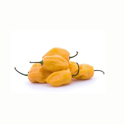 Habanero Chillies Yellow