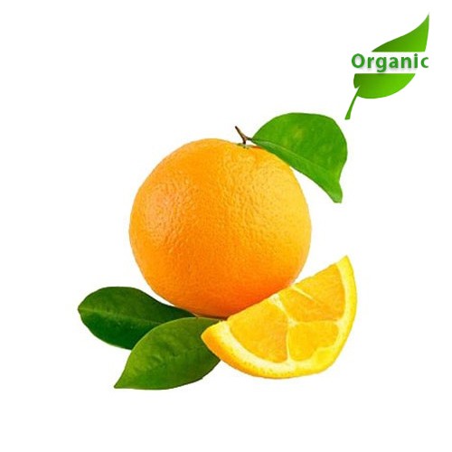 Organic Orange Valencia