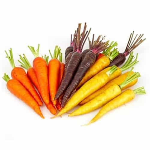 Baby Carrots Rainbow