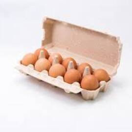 Eggs Brown Organic (10)