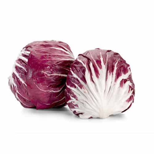 Lettuce Radicchio (Red Lettuce)
