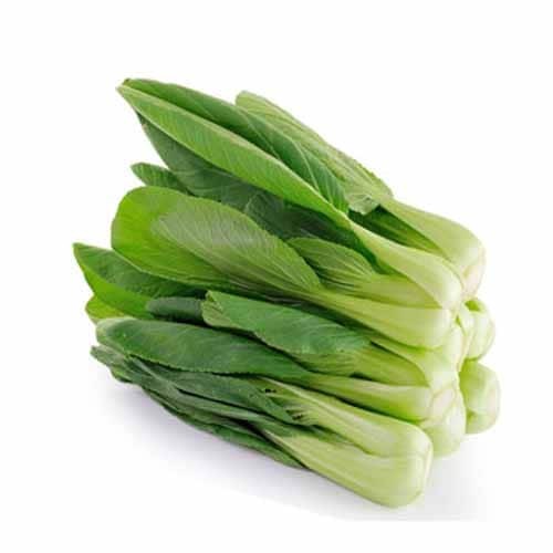 Baby Pakchoi