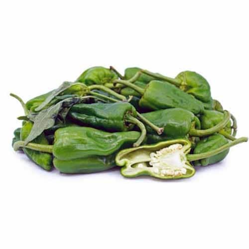 Chilli Padron Pepper