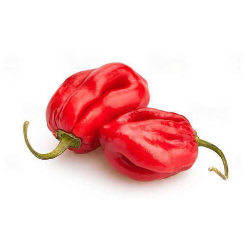 Habanero Chillies