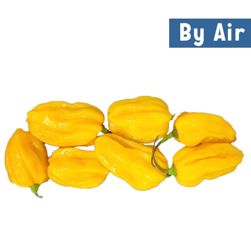Habanero Chillies Yellow