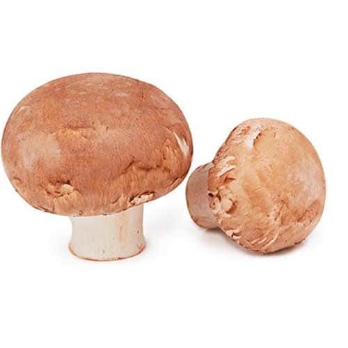 Brown Mushroom