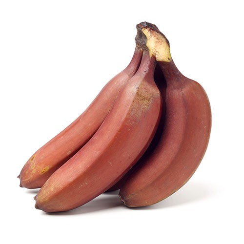 Red Banana (Poovan)
