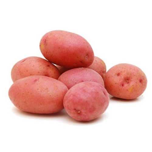 Potato Red