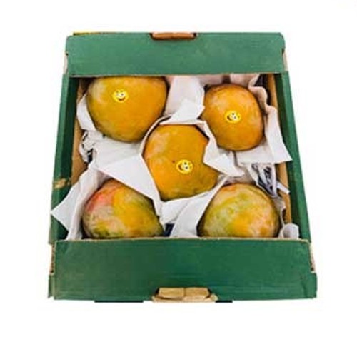 Mango Egypt Box